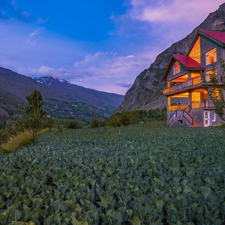 Zostel Homes Rashil Tandi Kültér fotó