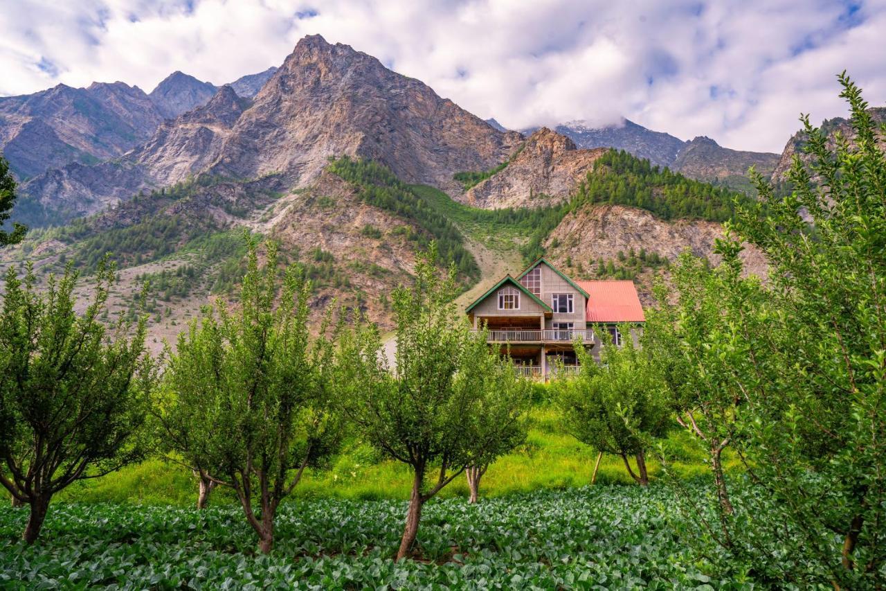 Zostel Homes Rashil Tandi Kültér fotó